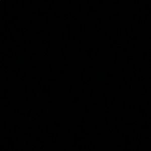 Meet your Posher, Ramon